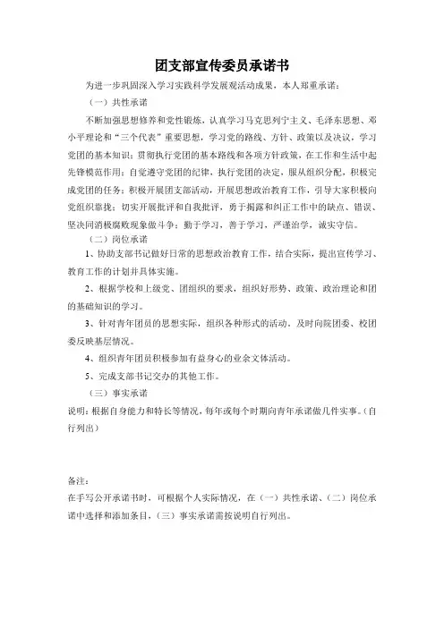 团支部宣传委员承诺书