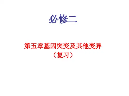 必修二第五章基因突变及其他变异复习
