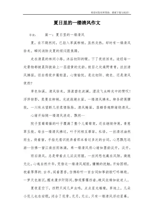 夏日里的一缕清风作文