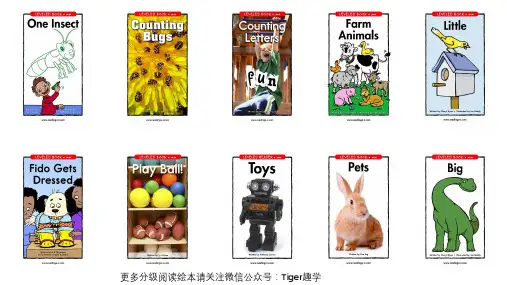 美国分级阅读ReadingA_Z PPT点读绘本