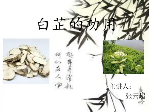 白芷.功用医学PPT课件
