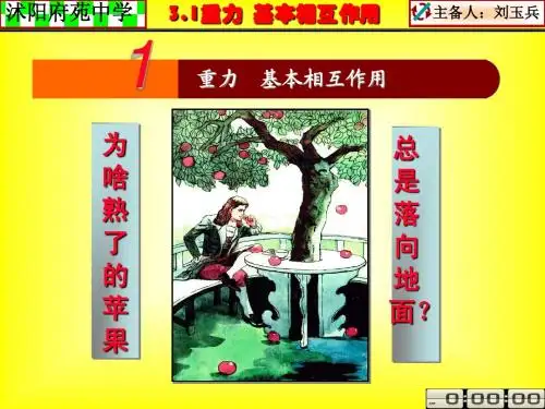 重力 基本相互作用(刘玉兵)