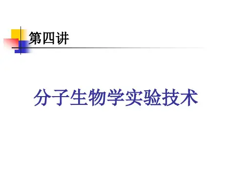 分子生物学技术