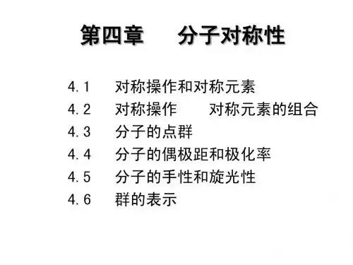 第四章 分子的对称性