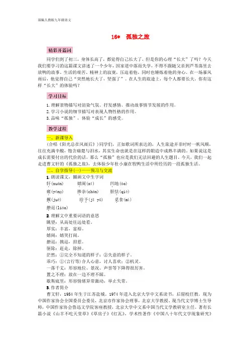 部编人教版九年级语文上册 第16课《孤独之旅》名师教案