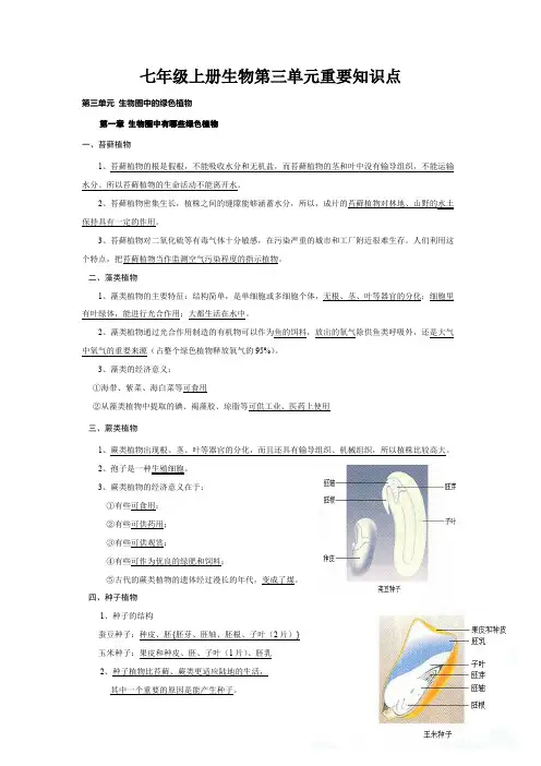 七年级上册生物第三单元重要知识点