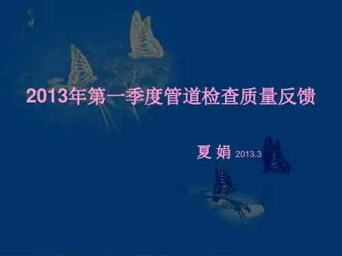 2013年第一季度管道检查 幻灯片