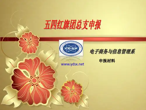 关于优秀团总支申报材料的PPT