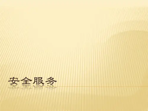安全服务
