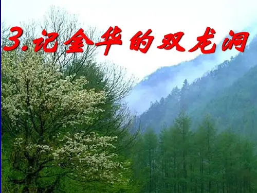 3.记金华的双龙洞