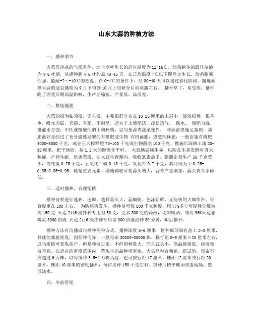 山东大蒜的种植方法