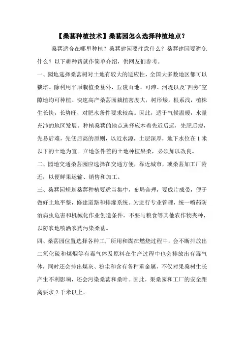 【桑葚种植技术】桑葚园怎么选择种植地点？