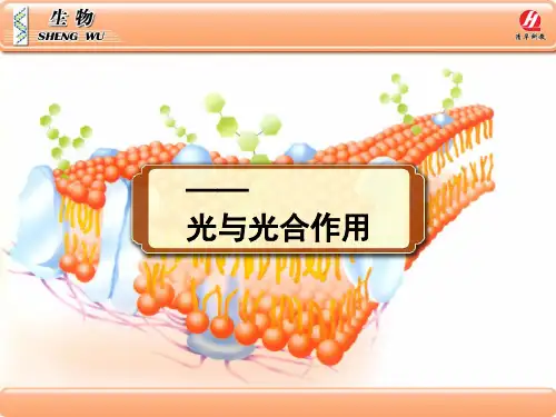 《生物》必修一54《能量之源——光与光合作用》PPT课件