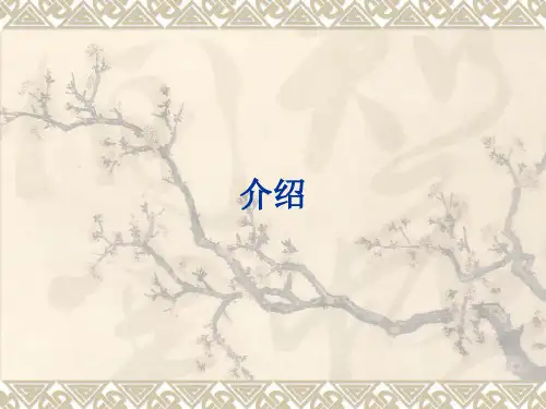 标准的接骨板和螺丝钉技术