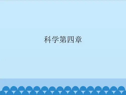五年级科学下册第四章