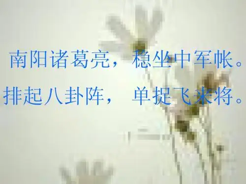 蜘蛛  ppt