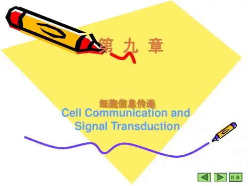 第09章细胞信息转导