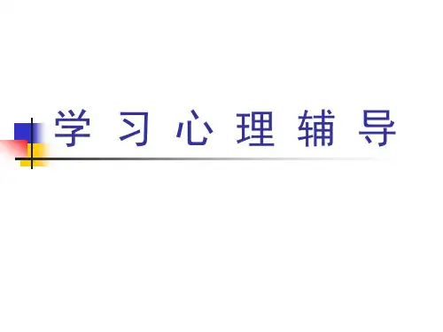 第3讲 学习心理辅导