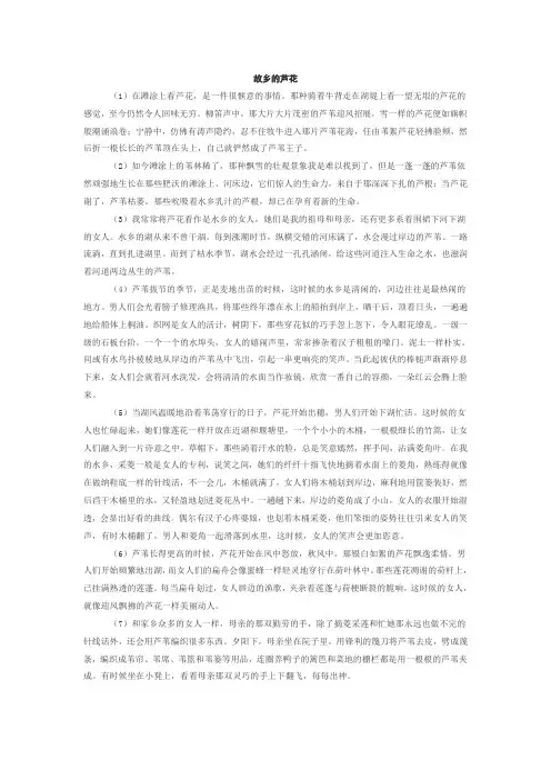 故乡的芦苇阅读答案