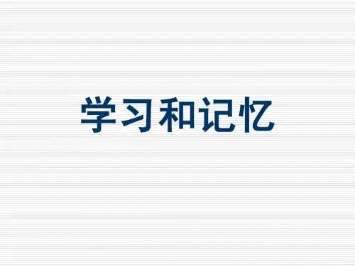 学习和记忆(px)