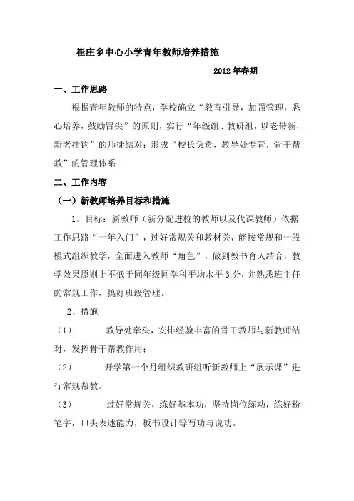 青年教师培养措施