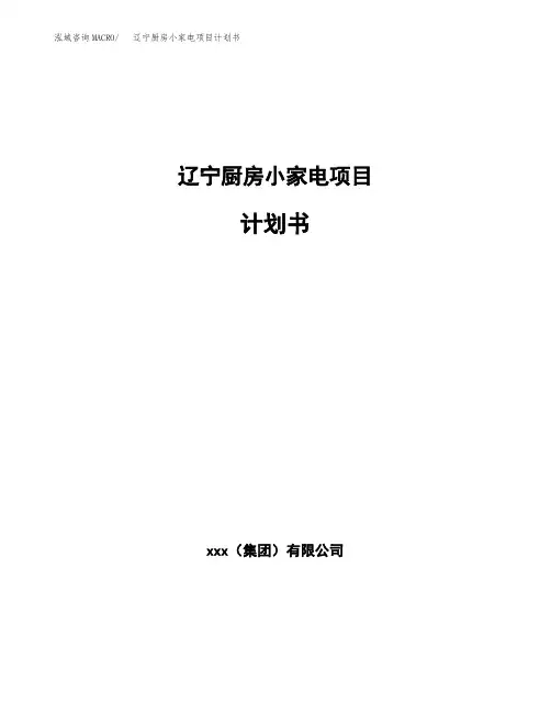 辽宁厨房小家电项目计划书