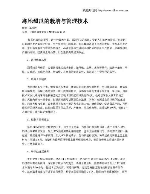 寒地甜瓜的栽培与管理技术