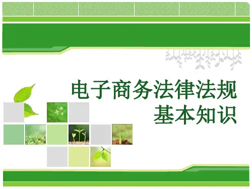 电子商务法律法规基本知识 PPT