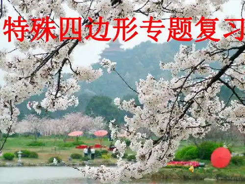特殊四边形专题复习