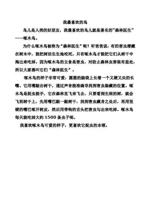 我最喜欢的鸟