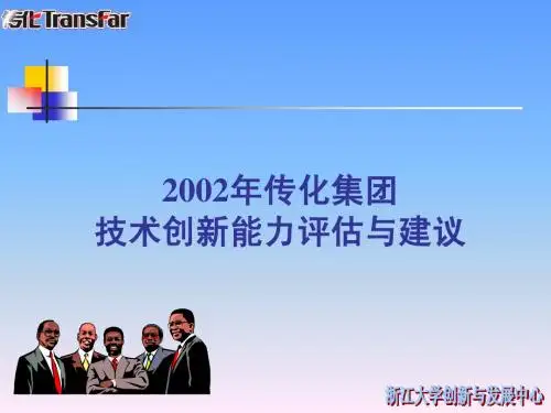 传化集团技术创新能力评估与建议