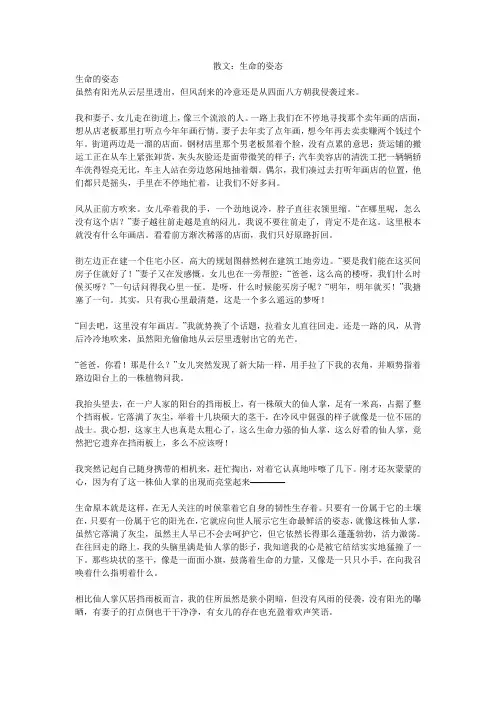 散文：生命的姿态