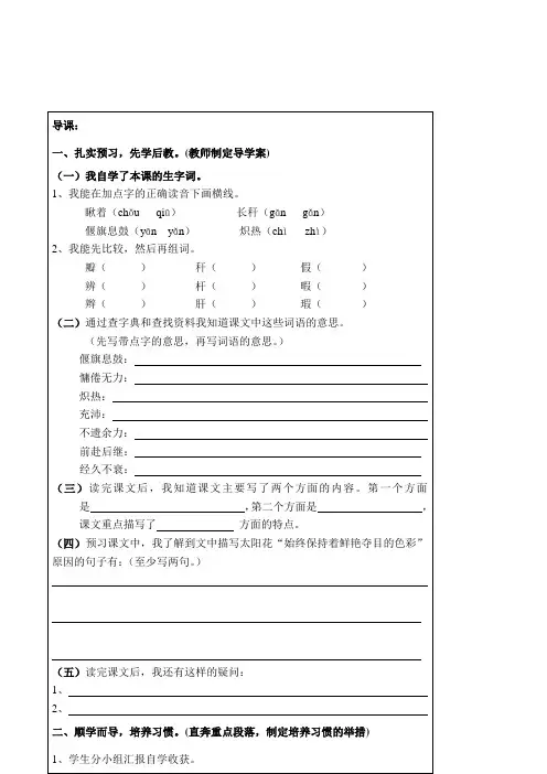 《种一片太阳花》教案