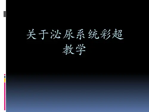 关于泌尿系统彩超教学课件