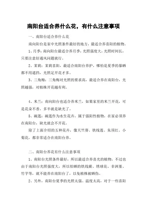 南阳台适合养什么花,有什么注意事项