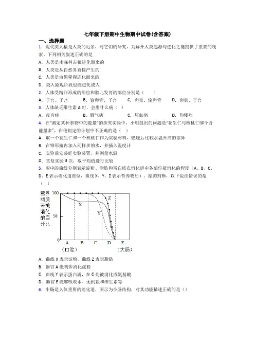 七年级下册期中生物期中试卷(含答案)