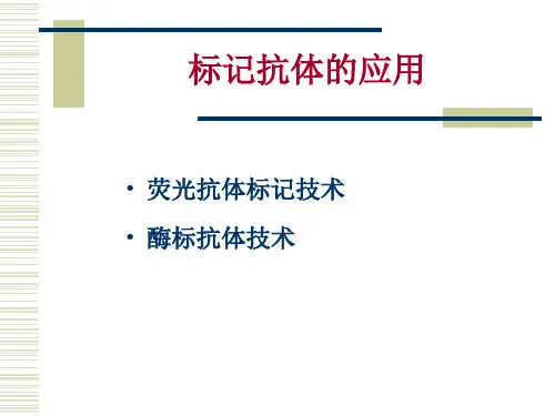 6 免疫球蛋白标记技术应用