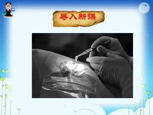 18.永生的眼睛