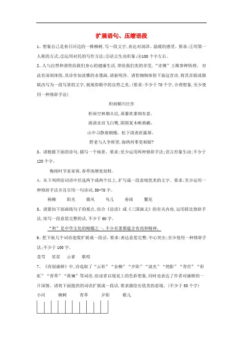 高考语文一轮复习语言文字运用精练23扩展语句压缩语段