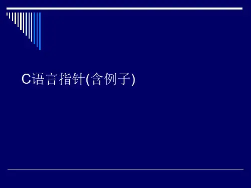 C语言指针(含例子)
