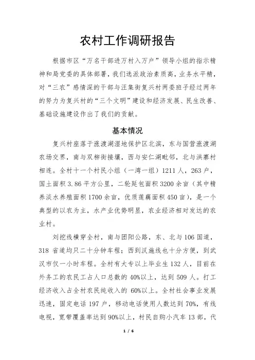 农村工作调研报告20110420