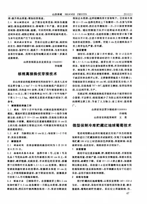 核桃高接换优芽接技术
