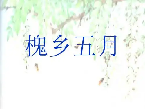 苏教版第六册-21课槐乡五月