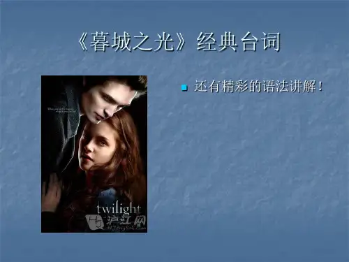 《暮城之光》经典台词还有语法讲解