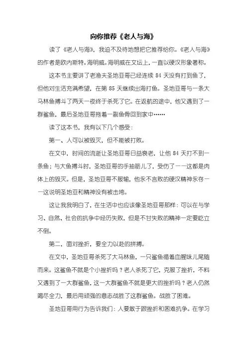 初三作文：推荐一本好书老人与海作文700字
