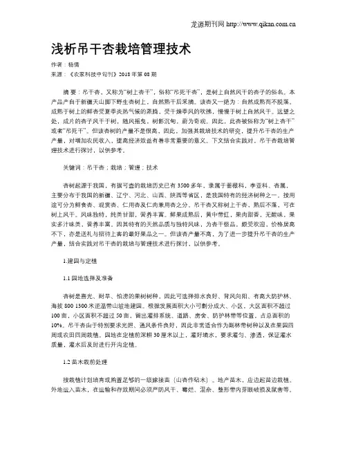 浅析吊干杏栽培管理技术