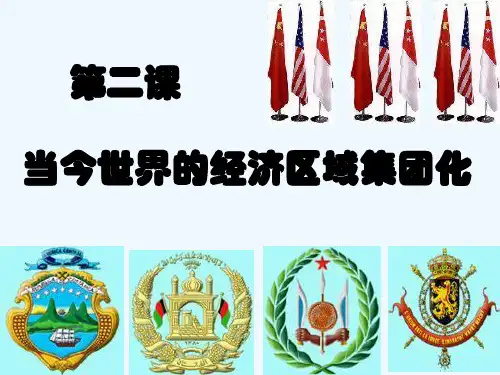 《当今世界经济区域集团化发展》课件(人民版自己用)