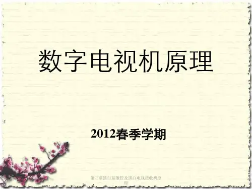 第三章黑白显像管及黑白电视接收机原理