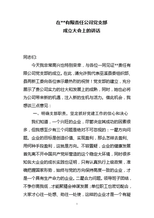 水电有限责任公司党支部成立大会讲话稿