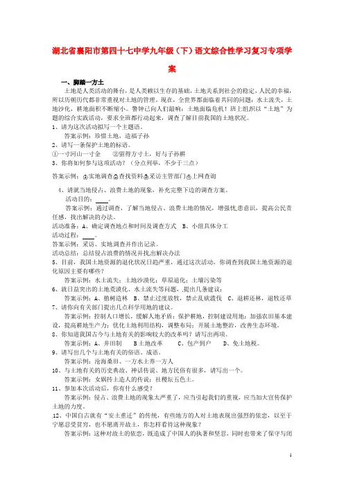 湖北省襄阳市第四十七中学九年级语文下册 综合性学习